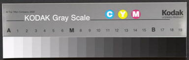 Image of the Q-13 Gray scale Image of the Q-13 Gray scale
