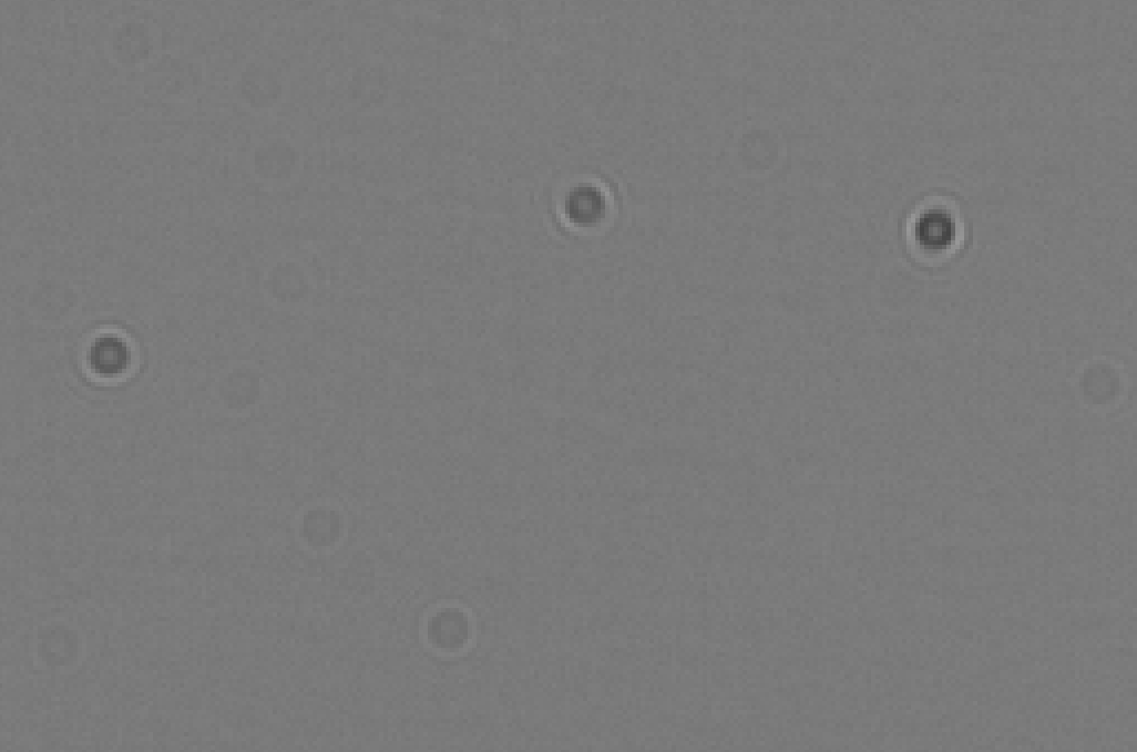 image-20250203-175614.png