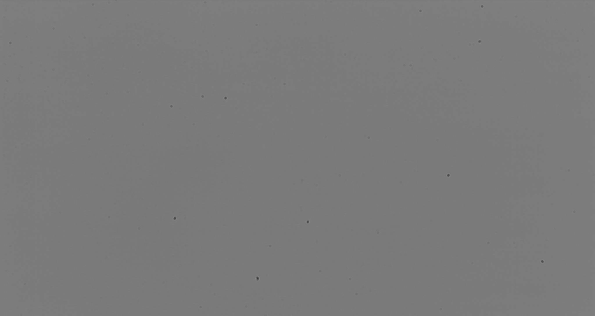 collimated_brightened.png